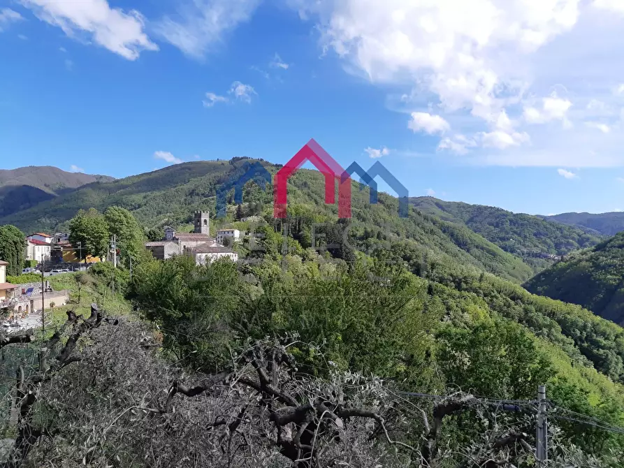 Immagine 2 di Appartamento in vendita  a Bagni Di Lucca