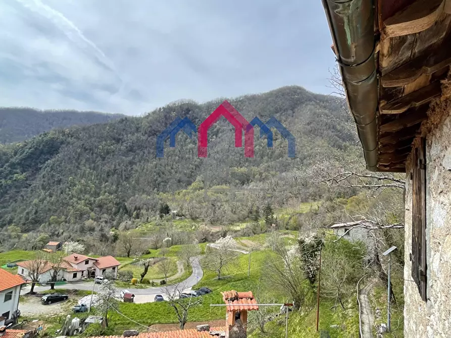 Immagine 50 di Terratetto in vendita  a Fabbriche Di Vergemoli