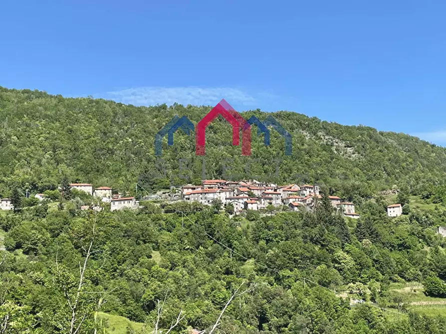 Immagine 3 di Terratetto in vendita  a Fabbriche Di Vergemoli