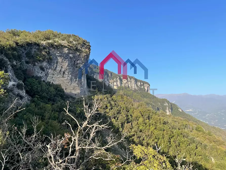 Immagine 4 di Terratetto in vendita  a Fabbriche Di Vergemoli