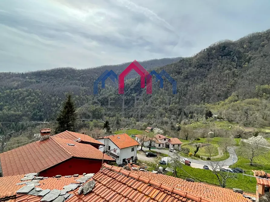 Immagine 49 di Terratetto in vendita  a Fabbriche Di Vergemoli