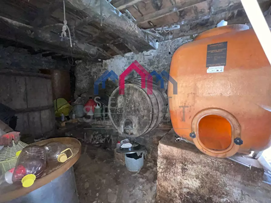 Immagine 14 di Terratetto in vendita  a Fabbriche Di Vergemoli