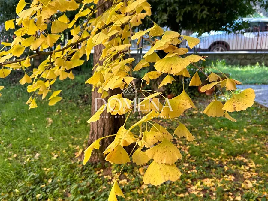 Immagine 9 di Casa bifamiliare in vendita  a Rapolano Terme