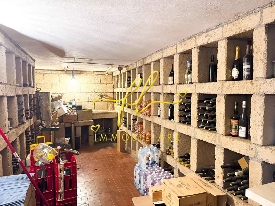 Immagine 53 di Villa in vendita  a Bibbona