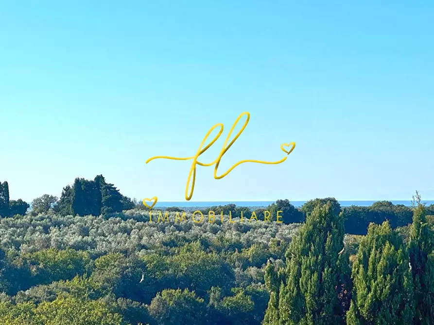 Immagine 83 di Villa in vendita  a Bibbona