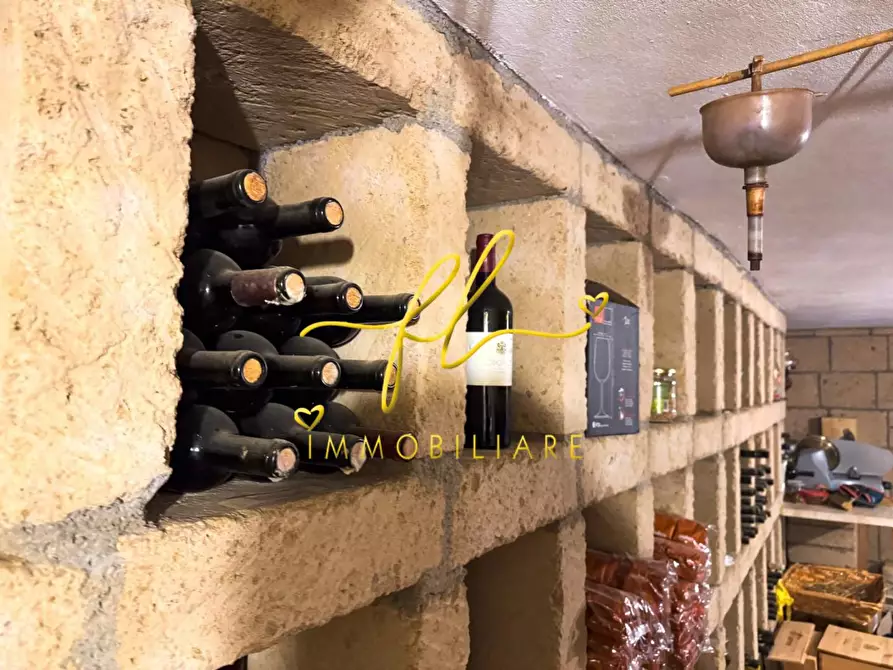 Immagine 26 di Villa in vendita  a Bibbona