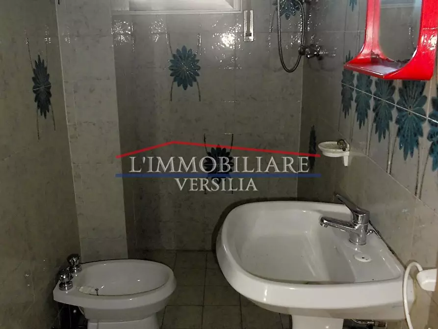 Immagine 19 di Appartamento in vendita  a Massa