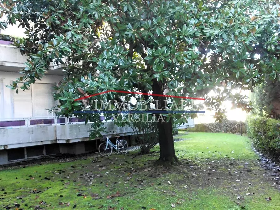 Immagine 57 di Appartamento in vendita  a Massa