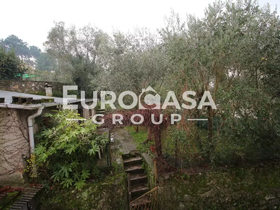 Immagine 14 di Terratetto in vendita  a Lucca