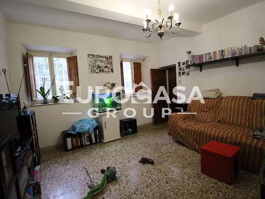 Immagine 7 di Terratetto in vendita  a Lucca