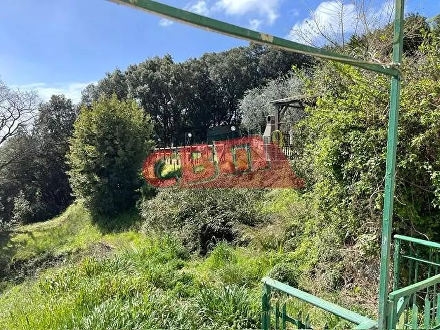 Immagine 20 di Terratetto in vendita  a Collesalvetti