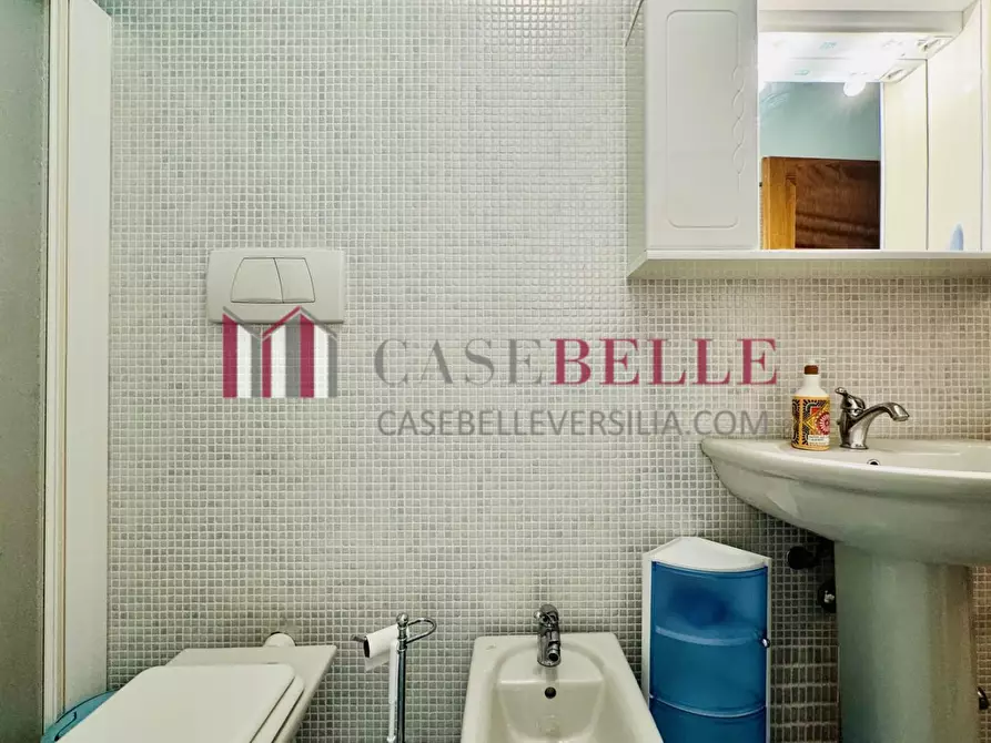 Immagine 13 di Casa semindipendente in vendita  a Camaiore