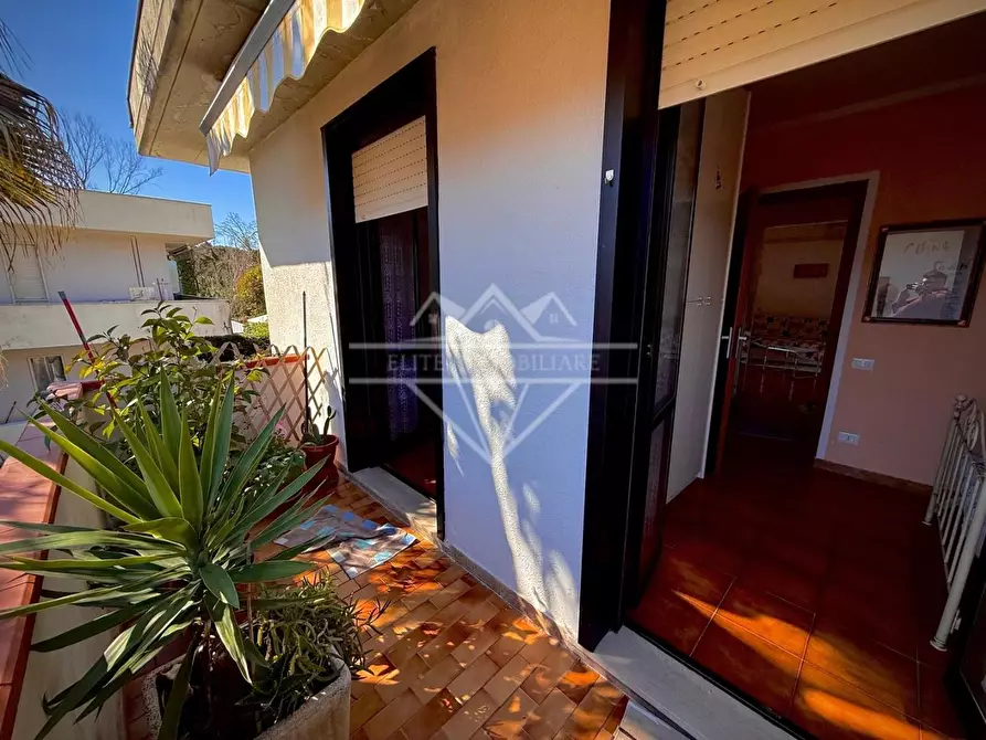 Immagine 11 di Appartamento in vendita  a Massa