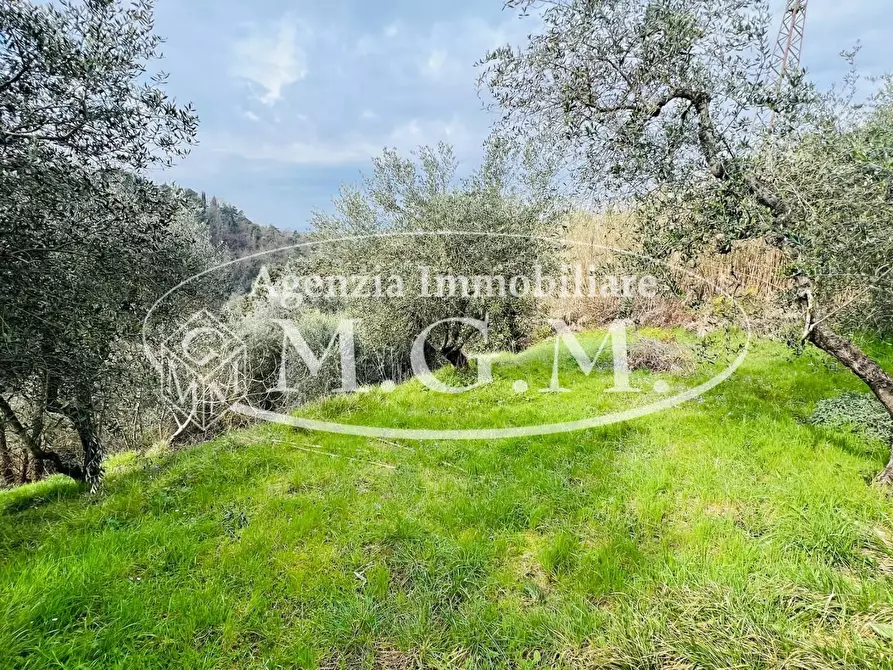 Immagine 7 di Villa in vendita  a Montopoli In Val D'arno