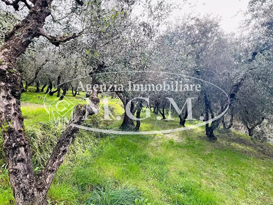 Immagine 8 di Villa in vendita  a Montopoli In Val D'arno