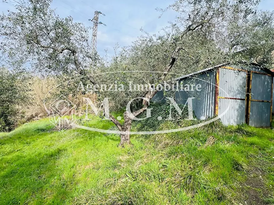 Immagine 6 di Villa in vendita  a Montopoli In Val D'arno