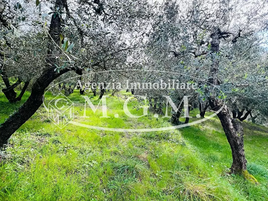 Immagine 9 di Villa in vendita  a Montopoli In Val D'arno