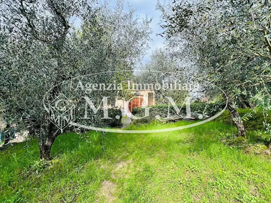 Immagine 4 di Villa in vendita  a Montopoli In Val D'arno