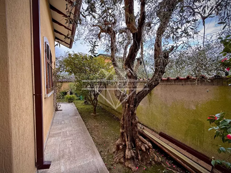 Immagine 17 di Villa in vendita  a Carrara