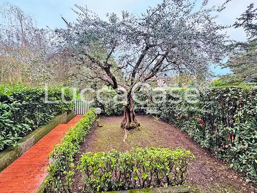 Immagine 24 di Villetta a schiera in vendita  a Capannori