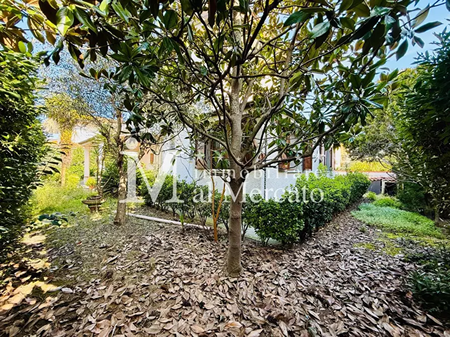 Immagine 53 di Villa in vendita  a Viareggio