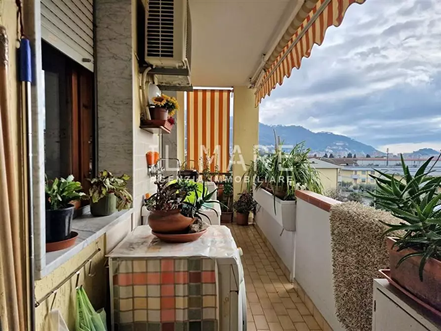 Immagine 10 di Appartamento in vendita  a Massa