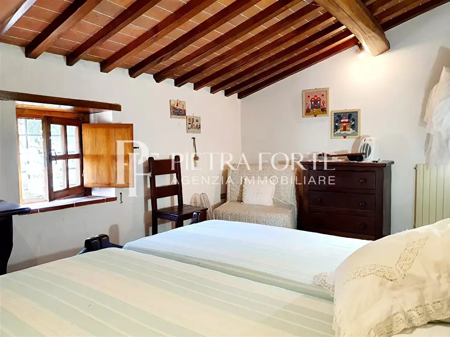 Immagine 4 di Rustico / casale in vendita  a Camaiore