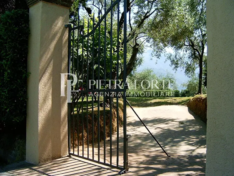 Immagine 7 di Rustico / casale in vendita  a Camaiore