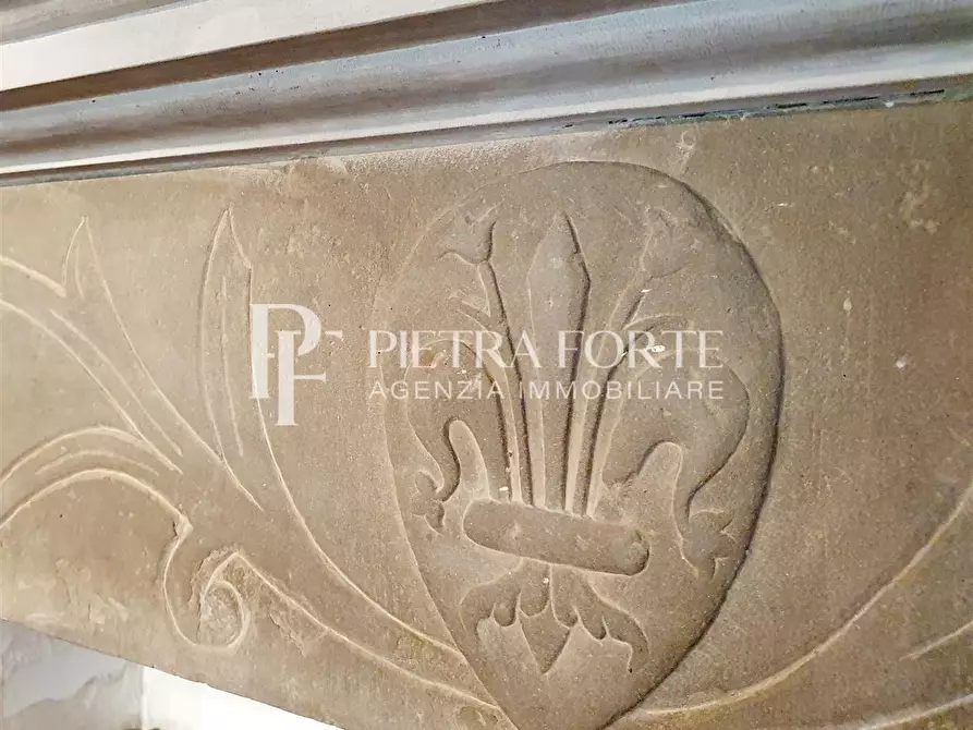 Immagine 6 di Rustico / casale in vendita  a Camaiore