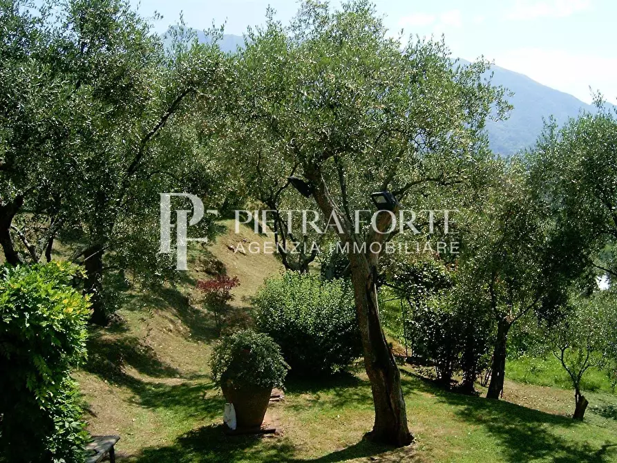 Immagine 18 di Rustico / casale in vendita  a Camaiore