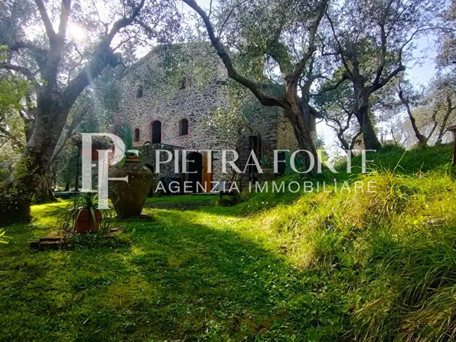 Immagine 1 di Rustico / casale in vendita  a Camaiore