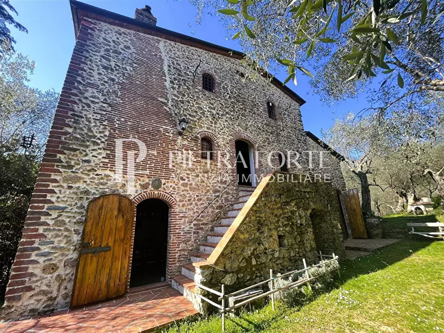 Immagine 3 di Rustico / casale in vendita  a Camaiore