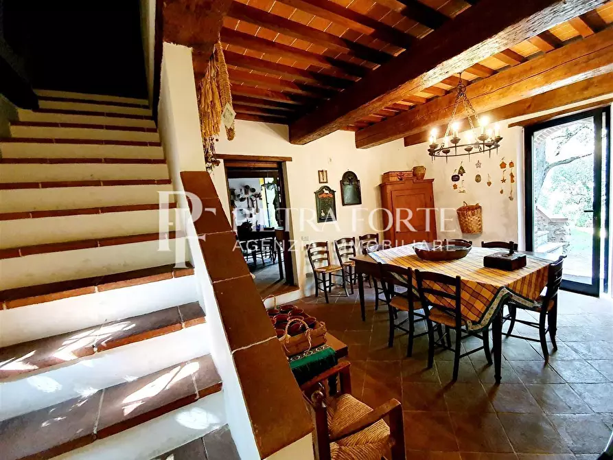 Immagine 12 di Rustico / casale in vendita  a Camaiore