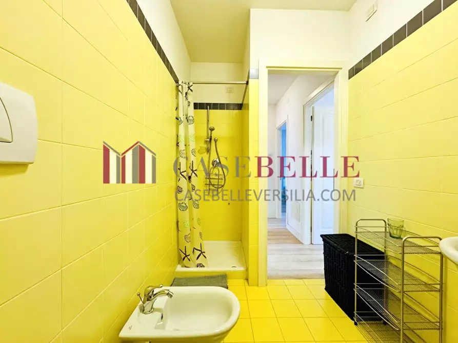 Immagine 28 di Appartamento in affitto  a Camaiore