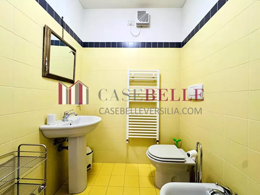 Immagine 26 di Appartamento in affitto  a Camaiore