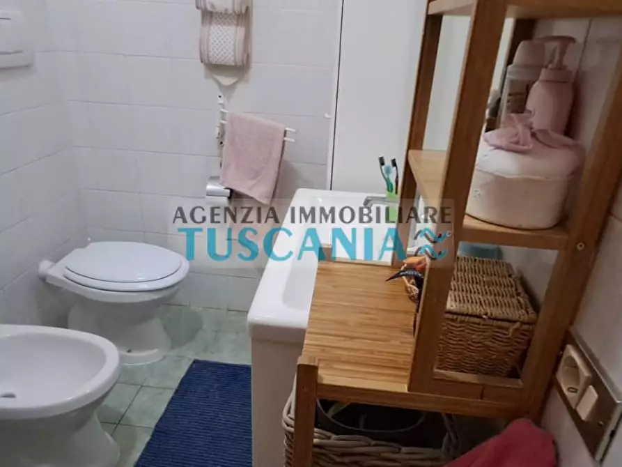 Immagine 6 di Appartamento in vendita  a Cecina