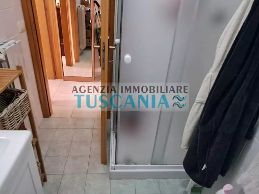 Immagine 7 di Appartamento in vendita  a Cecina