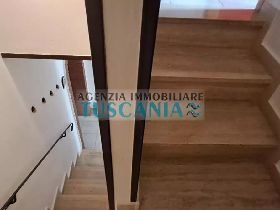 Immagine 8 di Appartamento in vendita  a Cecina
