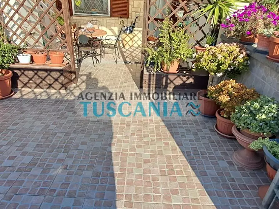 Immagine 18 di Appartamento in vendita  a Cecina
