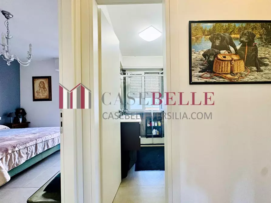 Immagine 14 di Appartamento in vendita  a Pietrasanta