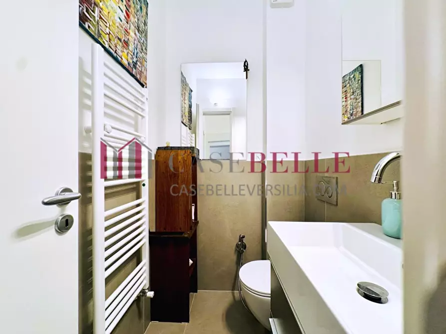 Immagine 32 di Appartamento in vendita  a Pietrasanta