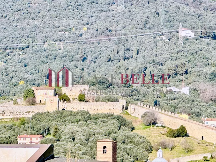 Immagine 37 di Appartamento in vendita  a Pietrasanta