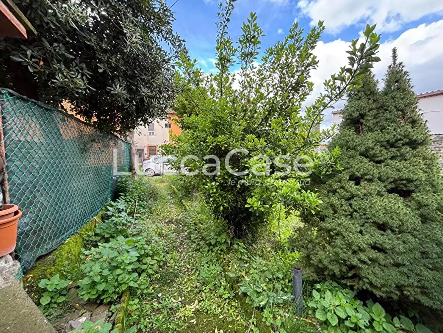 Immagine 45 di Terratetto in vendita  a Lucca