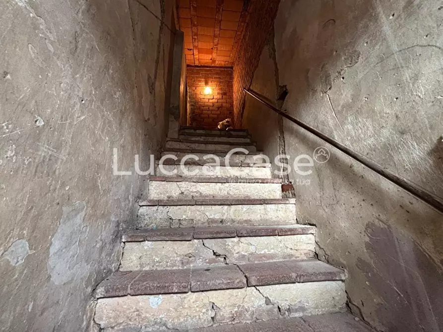 Immagine 35 di Terratetto in vendita  a Lucca