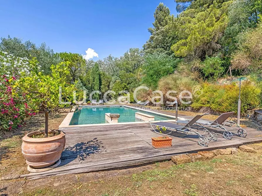 Immagine 24 di Casa colonica in vendita  a Capannori