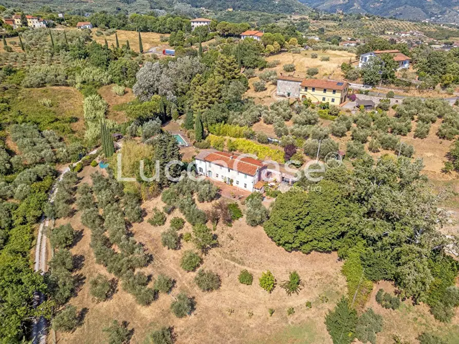 Immagine 13 di Casa colonica in vendita  a Capannori