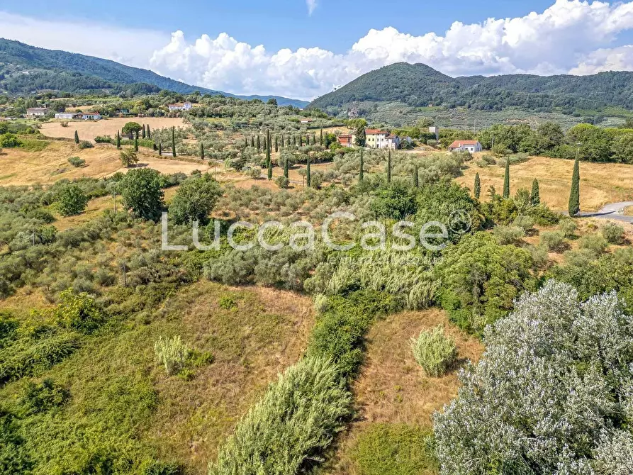 Immagine 17 di Casa colonica in vendita  a Capannori