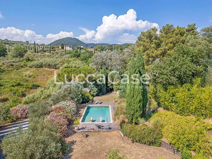 Immagine 8 di Casa colonica in vendita  a Capannori