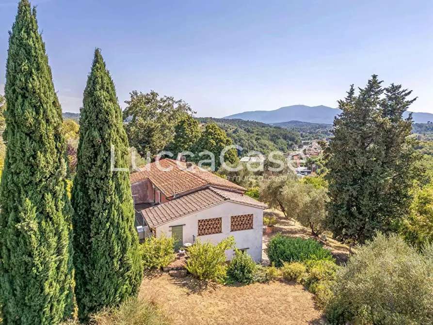 Immagine 15 di Casa colonica in vendita  a Capannori