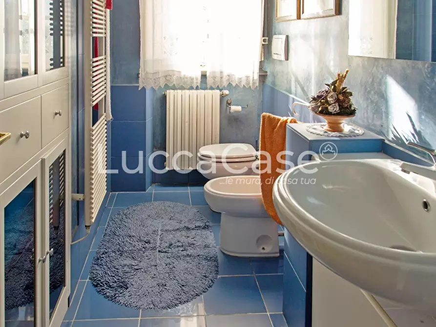 Immagine 21 di Casa colonica in vendita  a Capannori